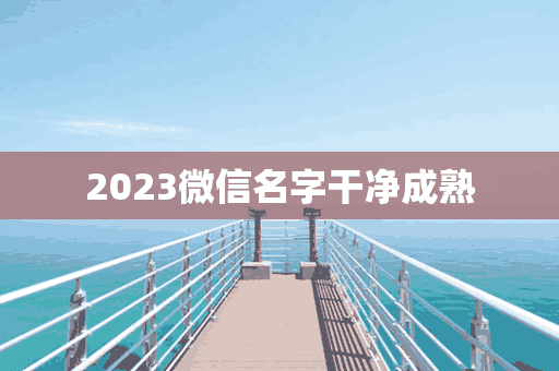 2023微信名字干净成熟(202l年微信名字)